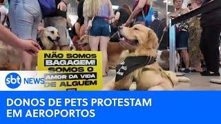 Proprietários de pets protestam em aeroportos após morte de Joca | #SBTNewsnaTV (29/04/24)