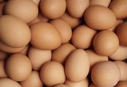 Imagem da notícia imagem de ovos