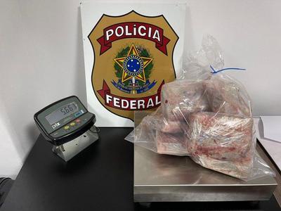 Traficantes usam até peixe congelado para transportar drogas via aeroportos no Brasil
