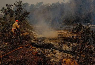 Águas e peixes do Pantanal podem sofrer ainda mais com queimadas