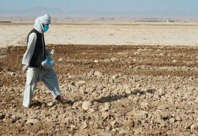 5 milhões vão enfrentar a fome aguda no Afeganistão, alerta ONU