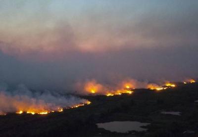 Focos de incêndio no Pantanal aumentam 408% em outubro