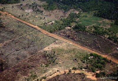 Desmatamento na Amazônia cresceu 56,6% em três anos, diz Ipam