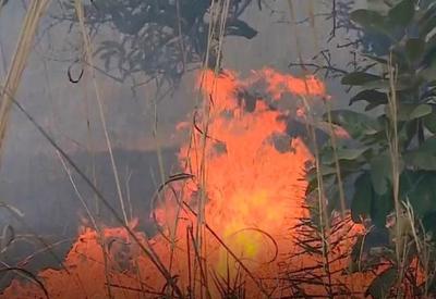 Incêndio no Parque Nacional de Brasília já destruiu 130 hectares