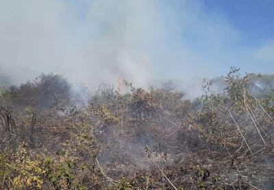 Incêndio que já dura cinco dias destrói mais de 20 mil hectares no Pantanal