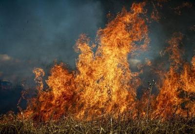Número de incêndios florestais deve aumentar 50% até 2100, alerta ONU