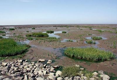 Seca histórica no Pantanal deve provocar maior vazante em 121 anos