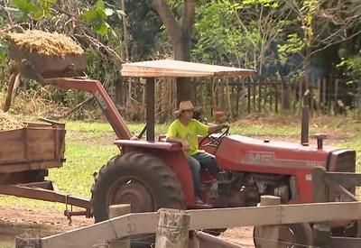 Chuvas no sudeste animam produtores rurais após período de estiagem