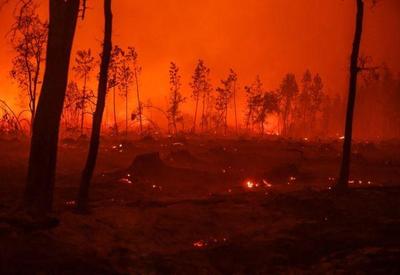 Europa tem verão com recorde de hectares queimados por incêndios