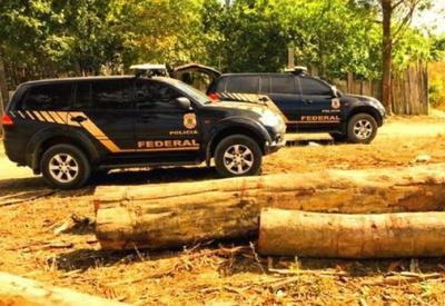 Justiça manda PF devolver parte da madeira apreendida no Amazonas