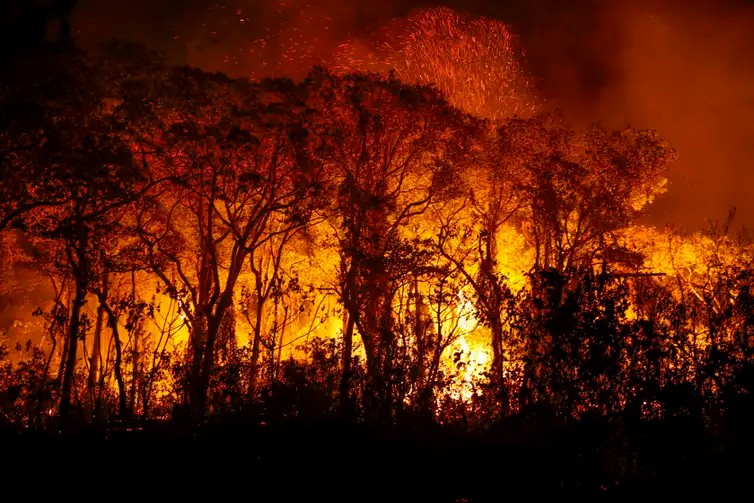 Pantanal tem quase 4 mil focos de incêndios no pior mês já registrado em 21 anos