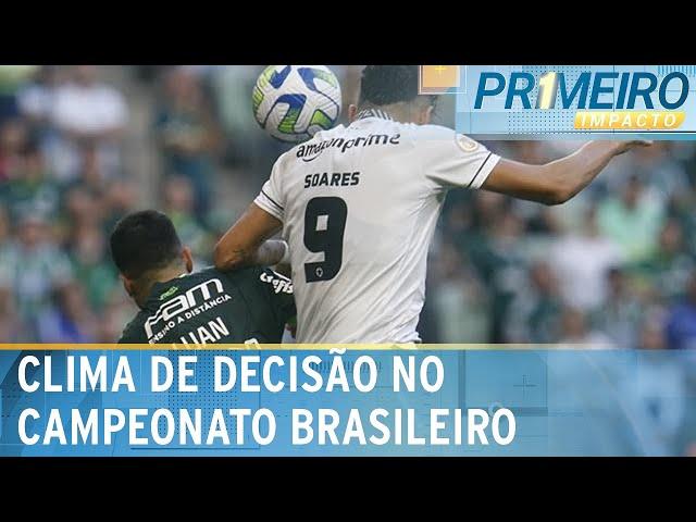 Palmeiras x Botafogo: diferença de apenas 6 pontos e clima de decisão