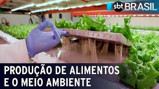 COP28 planeja mudar sistema de produção de alimentos | SBT Brasil (29/11/23)