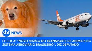 Lei Joca: "Novo marco no transporte de animais no sistema aeroviário brasileiro", diz deputado