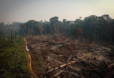 Desmatamento na Amazônia cai 62% no acumulado do ano e registra menor taxa desde 2017