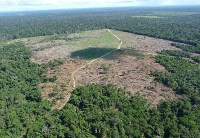 AGU cobra R$ 292 milhões de infrator ambiental por danos climáticos na Amazônia