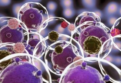 Terapias celulares podem reduzir risco de morte por Covid-19, aponta estudo