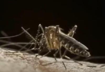 Ministério da Saúde faz dia de conscientização sobre a dengue