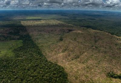 Amazônia brasileira perdeu 19% da mata e está perto do ponto de inflexão