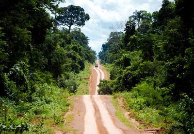 Plataforma aponta que 15 mil km da Amazônia estão sob risco de devastação