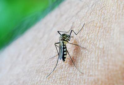 Veja estados que ampliaram faixa etária para vacina contra a dengue