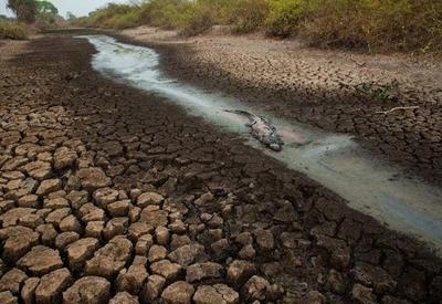 Apesar de ganhar 1,7 milhão de hectares de água, Brasil continua secando