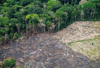 Inpe: estimativa de desmatamento na Amazônia em 2022 reduz 11%