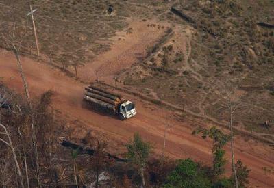 Com 322 km², alertas de desmatamento batem novo recorde em fevereiro