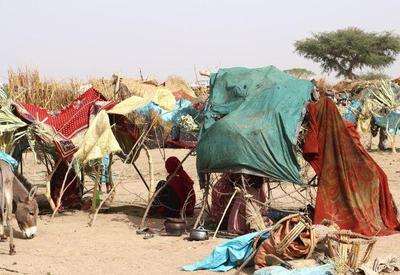 Vala comum com mais de 80 corpos é encontrada no Sudão