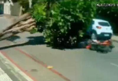 Vídeo: árvore cai em cima de motociclista em Fortaleza (CE)