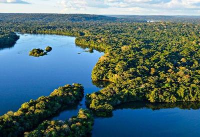 Mineração na Amazônia ameaça áreas com maior biodiversidade