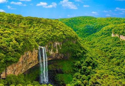 Revista Forbes aponta Brasil com melhor país do mundo para ecoturismo