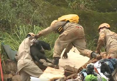 Idosa e cachorro de estimação são resgatados de escombros em Petrópolis