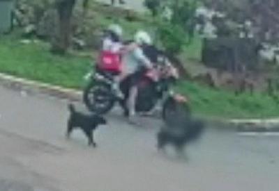 Policial civil, com filho na garupa, atira em cachorro no meio da rua