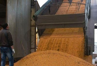Com apoio da Turquia, Ucrânia deve retomar exportações de grãos