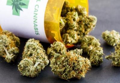 Decisão da Anvisa sobre Cannabis não se justifica, avalia especialista