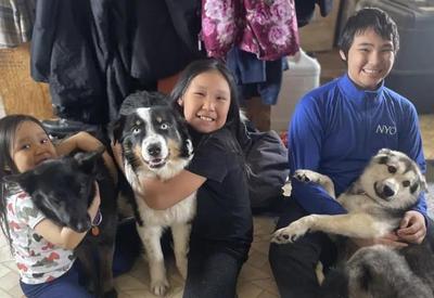 Cachorro reencontra a família depois de caminhar mais de 200 km