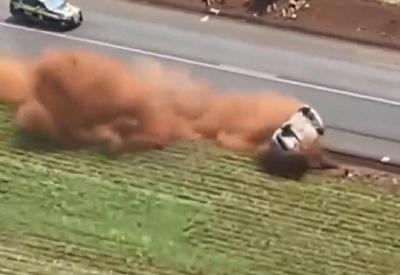 Vídeo: Motorista com 400 kg de maconha foge em perseguição e capota