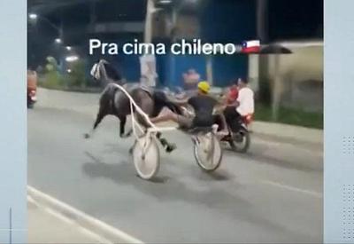 Corrida ilegal de cavalos em avenida do RJ é investigada