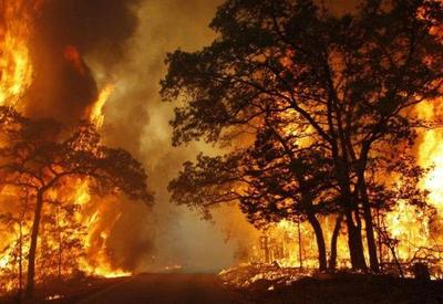 Brasil integra missão humanitária para combater incêndios florestais no Canadá