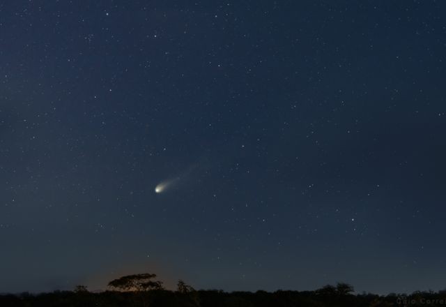 'Cometa do Diabo' poderá ser visto no Brasil a partir de domingo; saiba como observar