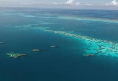 Branqueamento atinge  91% da Grande Barreira de Corais na Austrália