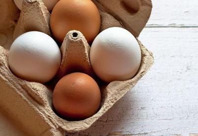 Receita de exportações de ovos cresce quase 30% em outubro, diz associação