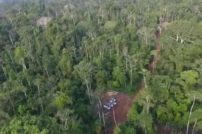 Desmatamento na região do Xingu dobrou entre março e abril deste ano