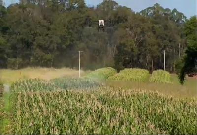 Uso de drones aumenta no Brasil e chega à agricultura