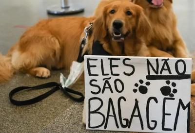 Caso Joca: Tutores de pets fazem protestos em aeroportos do país após morte de cachorro