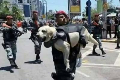 Entenda o caso do militar que carregou cachorro no colo durante desfile