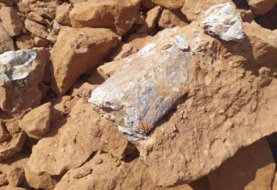Dinossauro carnívoro: fóssil é encontrado em obra de rodovia paulista