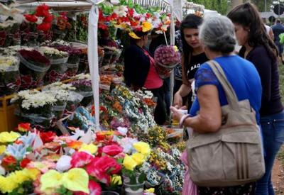 Dia de Finados deve impulsionar venda de flores no Distrito Federal