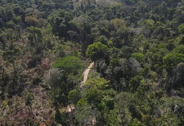 Avião operado por satélite atua para combater desmatamento na Amazônia